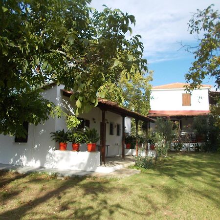 Villa Mina Ποτιστικά Εξωτερικό φωτογραφία