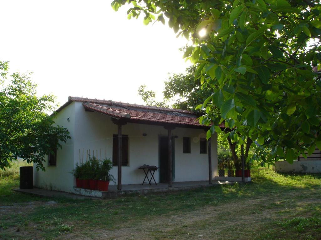 Villa Mina Ποτιστικά Εξωτερικό φωτογραφία